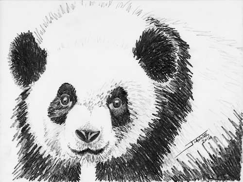 Panda copyright Joanne Howard 2016