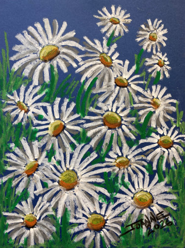 Daisies copyright Joanne Howard 2026