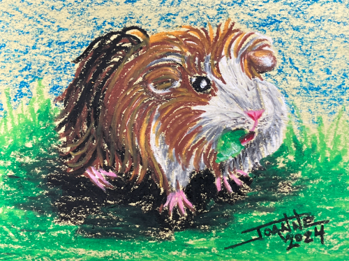 Guinea Pig copyright Joanne Howard 2024