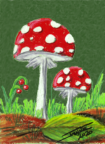 Mushrooms Jr. copyright Joanne Howard 2020