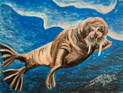Walrus copyright Joanne Howard 2026