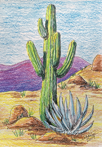 Cactus copyright Joanne Howard 2019