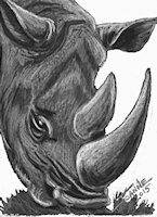 White Rhino copyright Joanne Howard 2015