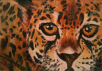 Cheetah copyright Joanne Howard 2012