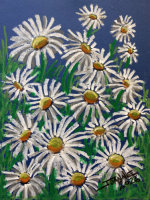 Daisies copyright Joanne Howard 2026