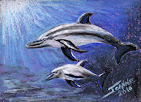 Dolphins copyright Joanne Howard 2010