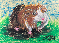 Guinea Pig copyright Joanne Howard 2024