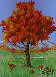 Autumn Maple Tree copyright Joanne Howard 2006