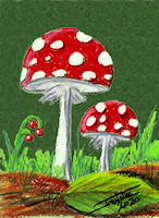 OP Mushrooms Jr copyright Joanne Howard 2020